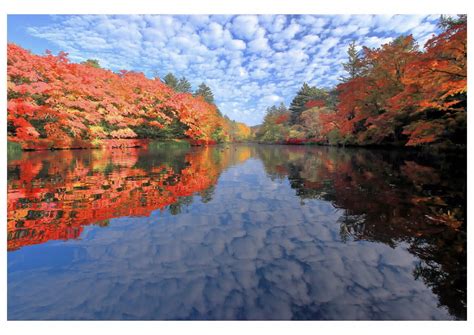 雲場池 紅葉 自然 トリップアイデア Go NAGANO 長野県公式観光サイト