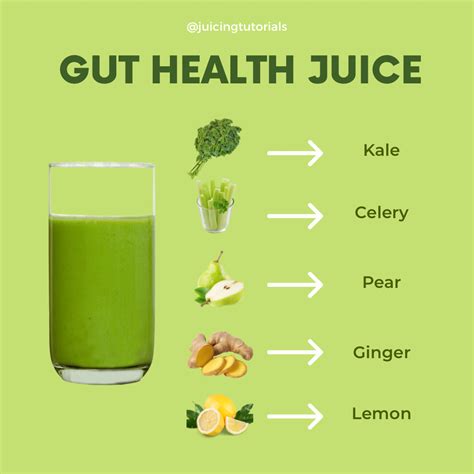 Juice For Gut Health Health Juice Recipes Healthy Juicer Recipes