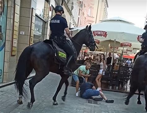 Konie Policyjne W Katowicach Poturbowa Y M Czyzn Uciek Policja