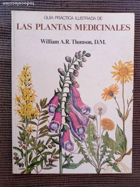 Guia Practica Ilustrada De Las Plantas Medicina Comprar Libros De Medicina Farmacia Y Salud