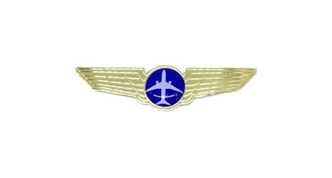 Airline Pilot Wings Pin Finox