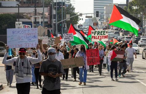 Protesters DNC: Police Clash With Gaza Ceasefire Activists | TIME