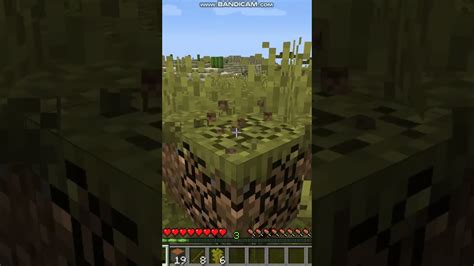 NhỮng Mod HỮu Ích Khi ChƠi Sinh TỒn Trong Minecraft 1165 P1