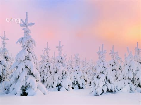 Bing Desktop Winter