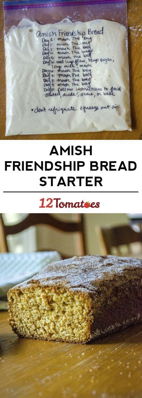 Amish Friendship Bread Starter | Recipe | Friendship bread, Amish ...