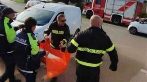 Ostuni Con Le Zampe Convince Un Uomo A Seguirlo Cane Salva Un Pastore