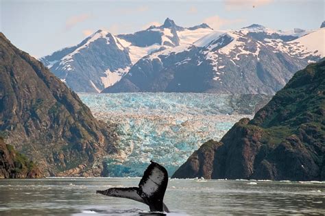 Voyages Extra Croisi Re En Alaska