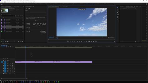 Tips Adobe Premiere Pro Tips