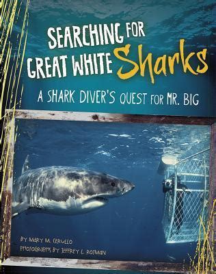 Searching For Great White Sharks A Shark Diver S Quest For Mr Big By