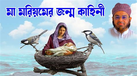 mufti nasir uddin ansari mufti nasir uddin ansari bd waz mother