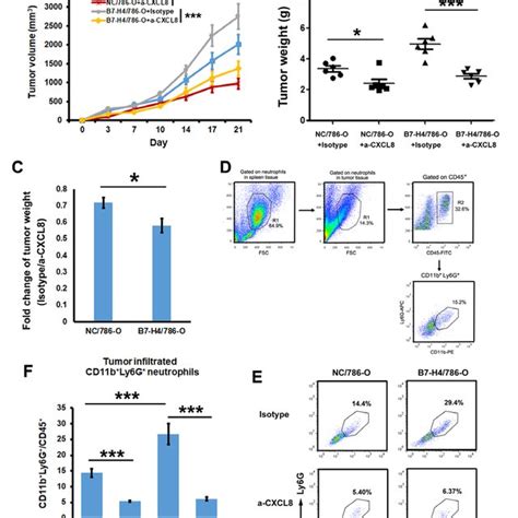 Evaluation Of The Effects Of CXCL8 On The B7 H4 Mediated Promotion Of