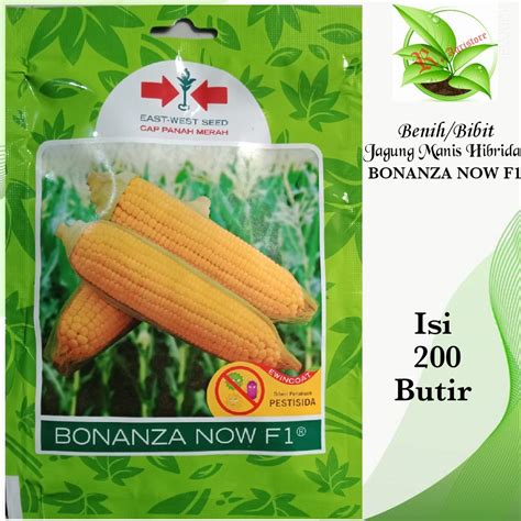 Jual Benih Bibit Jagung Manis Bonanza Now F Isi Butir Benih