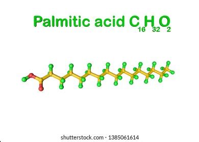 Structural Chemical Formula Molecular Model Palmitic