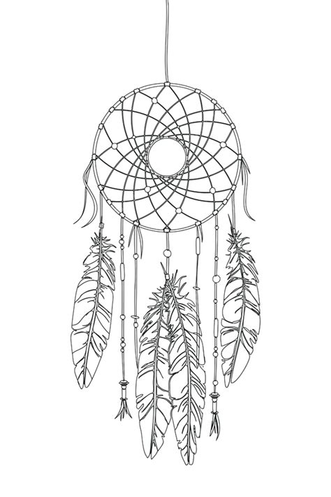 Dessin Vectoriel Dreamcatcher Décrit Sur Fond Blanc Png Tribal Isolé