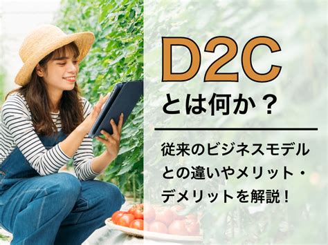 D2cとは何か従来のビジネスモデルとの違いやメリット・デメリットについて解説 Ec Howto