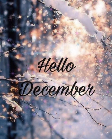 December winter wallpaper