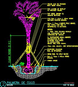 Coconut Palms Trees Plant Front View Elevation D Dwg Block For Autocad