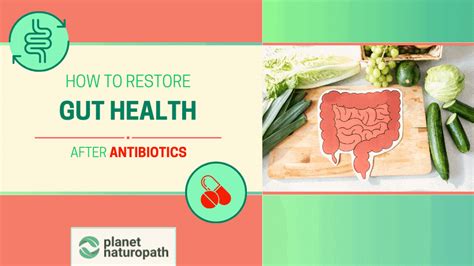 How To Restore Gut Health After Antibiotics