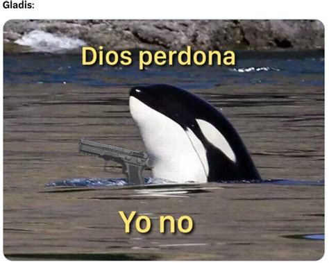 Los Memes De Gladys La Orca Asesina Traumatizada Conquistan Internet