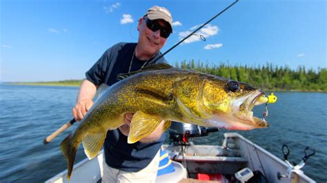 Walleye Bonanza Right In Front Of The Lodge Canada Fishing Guide