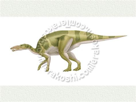 Anatotitan