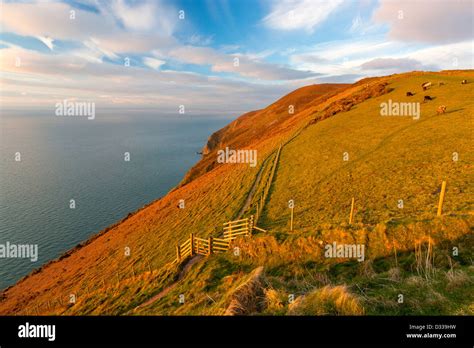 View From South West Coast Path Near Lynmouth Stock Photo Alamy