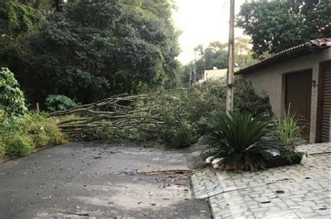 Forte chuva em Goiânia causa alagamentos queda de árvores e falta de