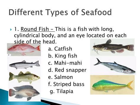 Types of-seafood | PPT