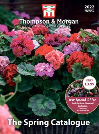 Buy Plants, Seeds, Fruit Trees & Seed Potatoes | Thompson & Morgan