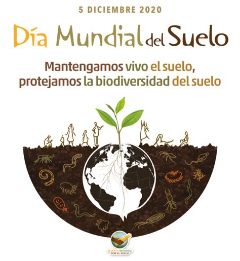 Día Mundial Del Suelo Cómo Cuidar Tu Suelo Y Aumentar Su Fertilidad