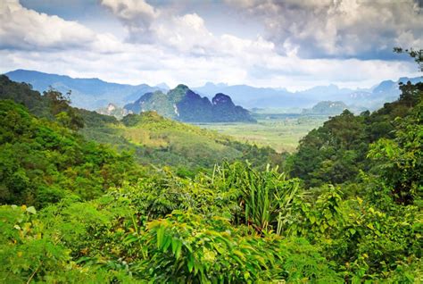 Daagse Khao Sok Jungle Tour Meerdaagse Tours Zuid Thailand Khao