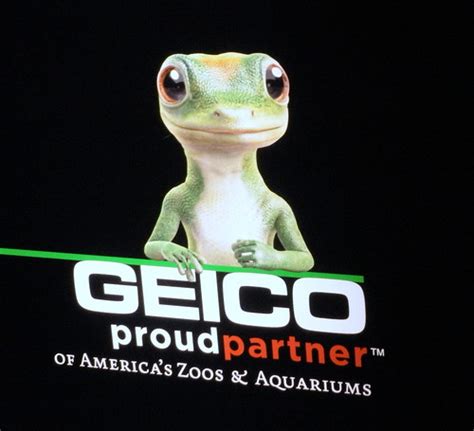 Geico Funny Quotes Quotesgram