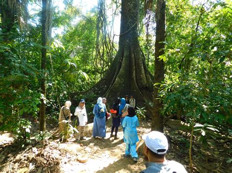 Amazon jungle tours Peru Sandoval Lake 3 Days - Top 10 Puerto Maldonado ...