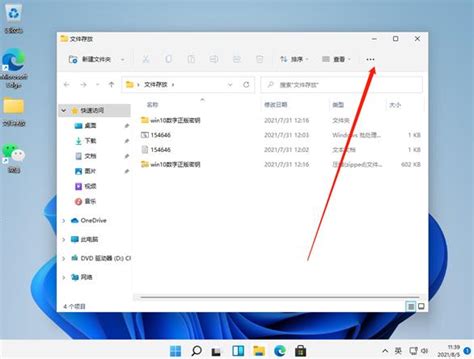 Win11系统如何查看文件后缀名 系统查看文件后缀名操作方法老白菜