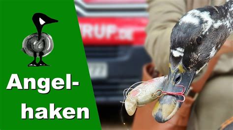 Angelhaken Tiernotruf 268 YouTube