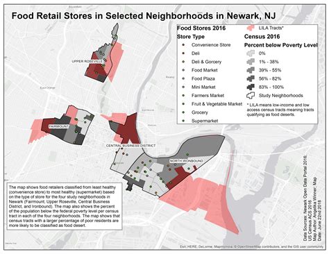 Ethnography of Food Provisioning in Newark, NJ: Food Practices, Health