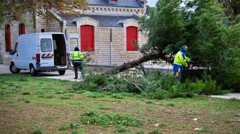 Arbres arrachés mer déchaînée Les images impressionnantes de la