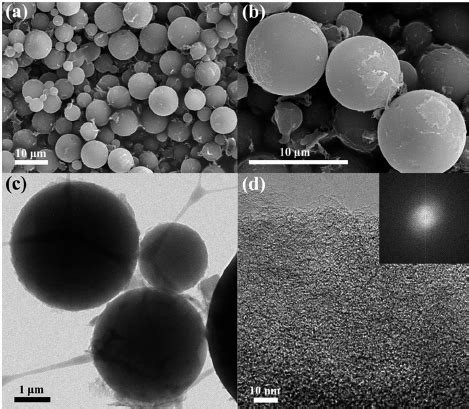 A Representative A SEM Image And B Enlarged SEM Image Of Highly