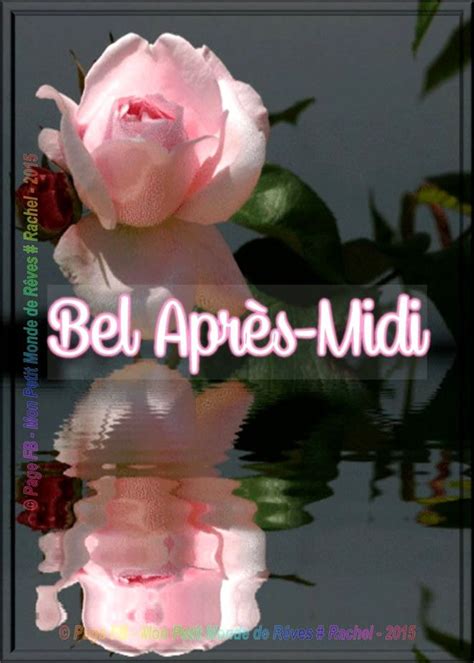 A Pink Rose With The Words Bel Apres Midi In Front Of It