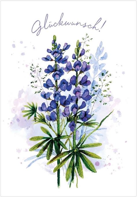 Wilde Lupine Postkarte Bei Postkartenshopberlin De Postkartenshop Berlin