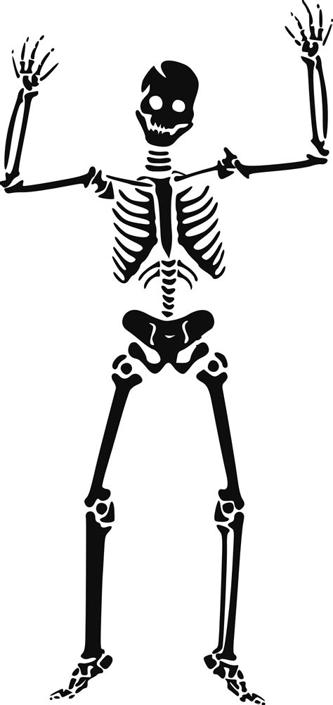 Free Skeleton Skull Cliparts, Download Free Skeleton Skull Cliparts png ...