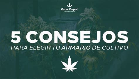 Consejos Para Elegir Tu Armario De Cultivo Grow Depot M Xico