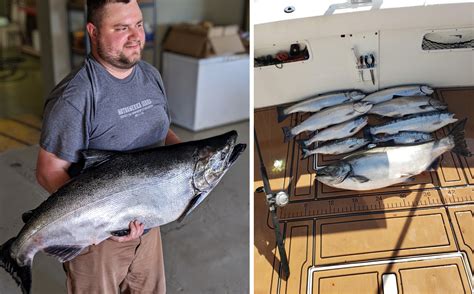 Angler Lands Heaviest Chinook Salmon Caught In Wisconsin Since 1994