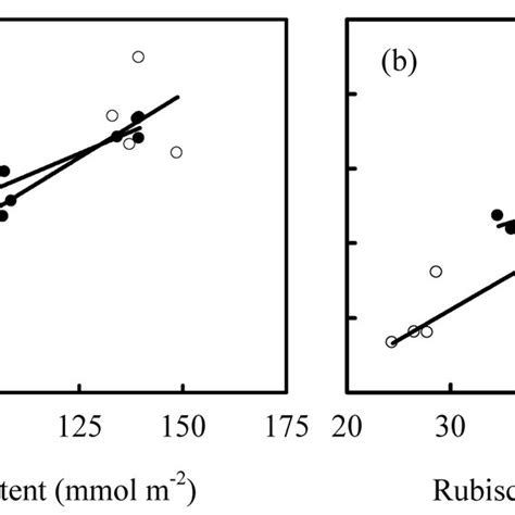 The Relationships Between Leaf Photosynthetic Rate A And A Leaf N