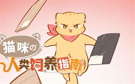 猫咪的人类饲养指南 动态漫第36集 国创 全集 高清正版在线观看 Bilibili 哔哩哔哩