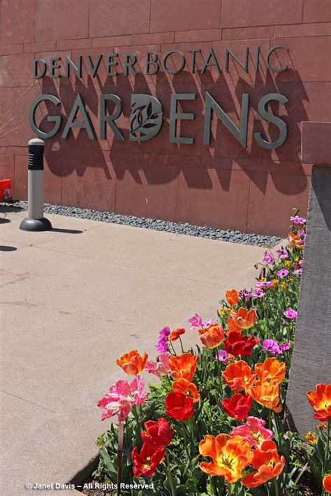 Denver Botanic Gardens-Entrance-Tulips in spring | Janet Davis Explores ...