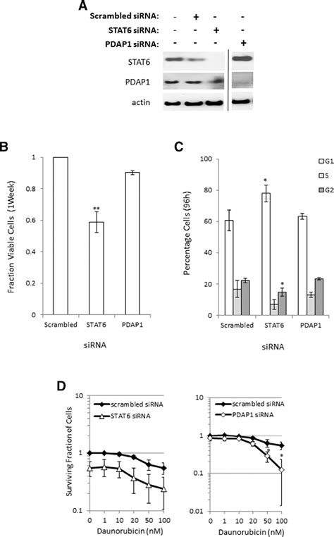 Figure From Synergistic Action Of Dual Igf R And Mek Inhibition