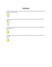 Cell Division Exercise 10 Docx Chromosomes 1 A Human Somatic Cell