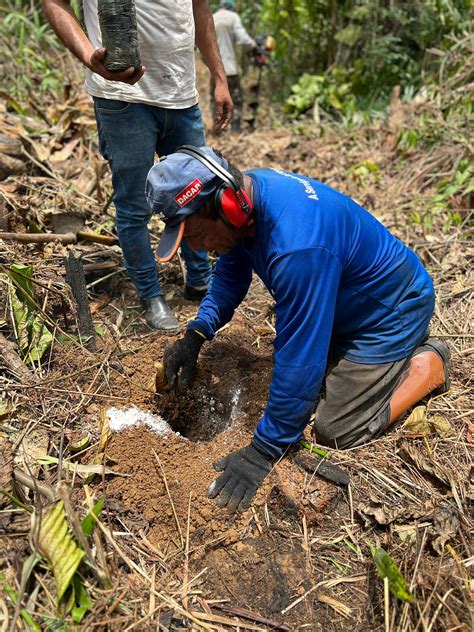 Idam Realiza Atividades De Restaura O Florestal Em Canutama Apoio