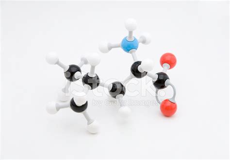 Leucine Amino Acid Molecule Stock Photo | Royalty-Free | FreeImages